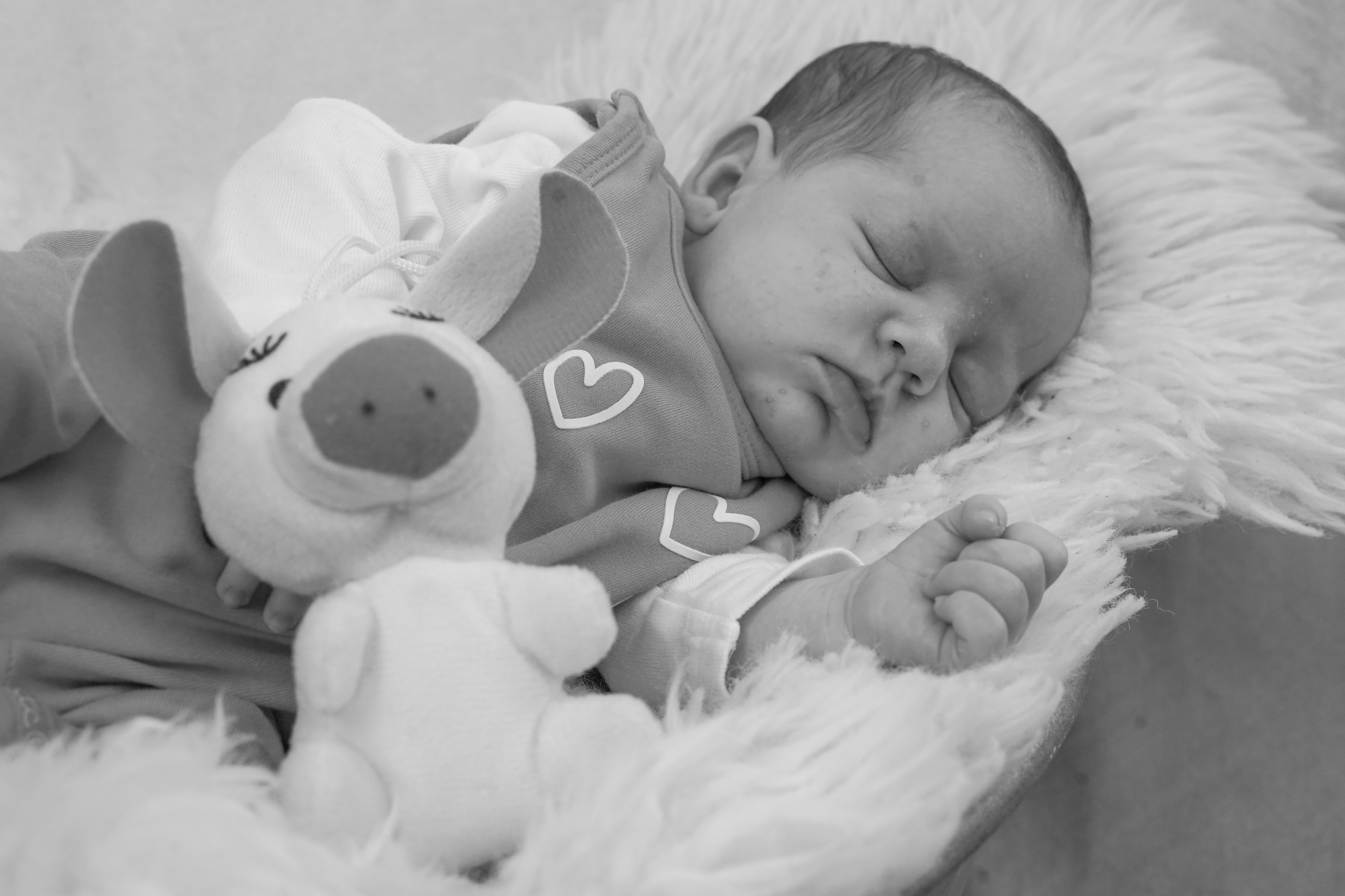 babyfotografie